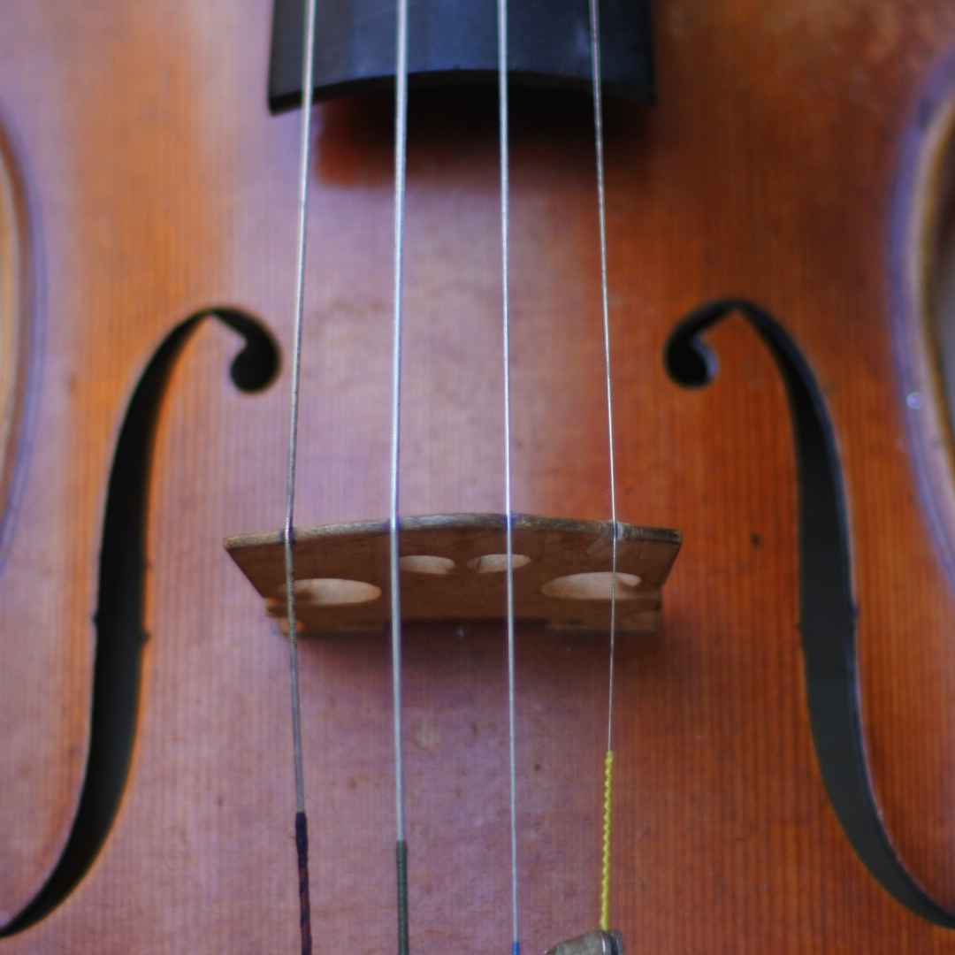 violino  le note del violino