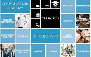 Economia: cerdomus  academy  ceramica