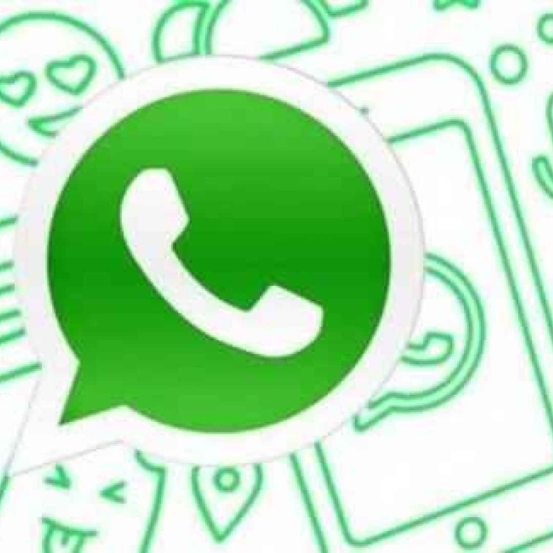 WhatsApp beta iOS. Scorciatoie contatti, modifica dark mode, voice over migliorato