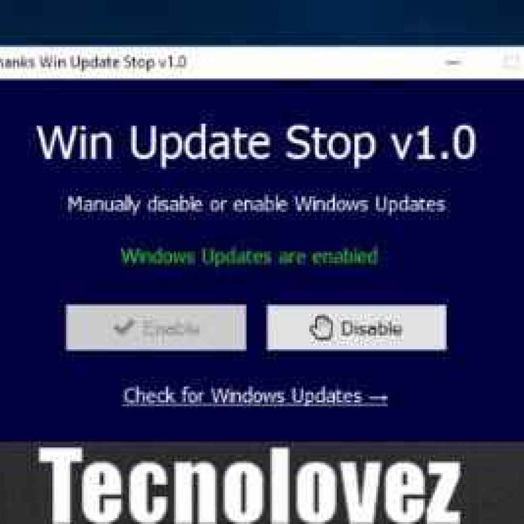 windows 10  win update stop 1.4