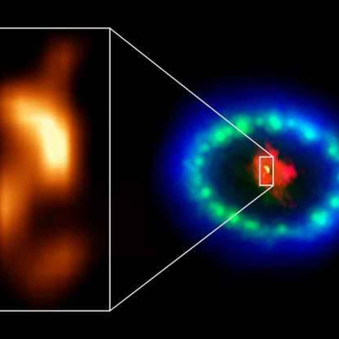 supernova  stella di neutroni