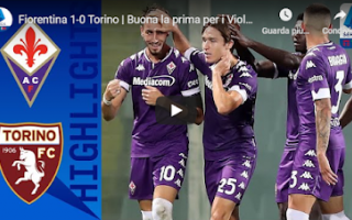 Serie A: fiorentina torino video gol calcio