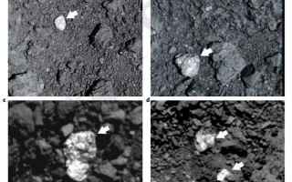 Astronomia: ryugu  bennu  asteroidi