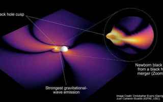 Astronomia: onde gravitazionali  buchi neri
