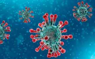 https://diggita.com/modules/auto_thumb/2020/11/15/1660013_damiano-galimberti-coronavirus-covid-19_thumb.jpg