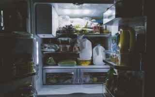 Alimentazione: latte  frigorifero  dieta