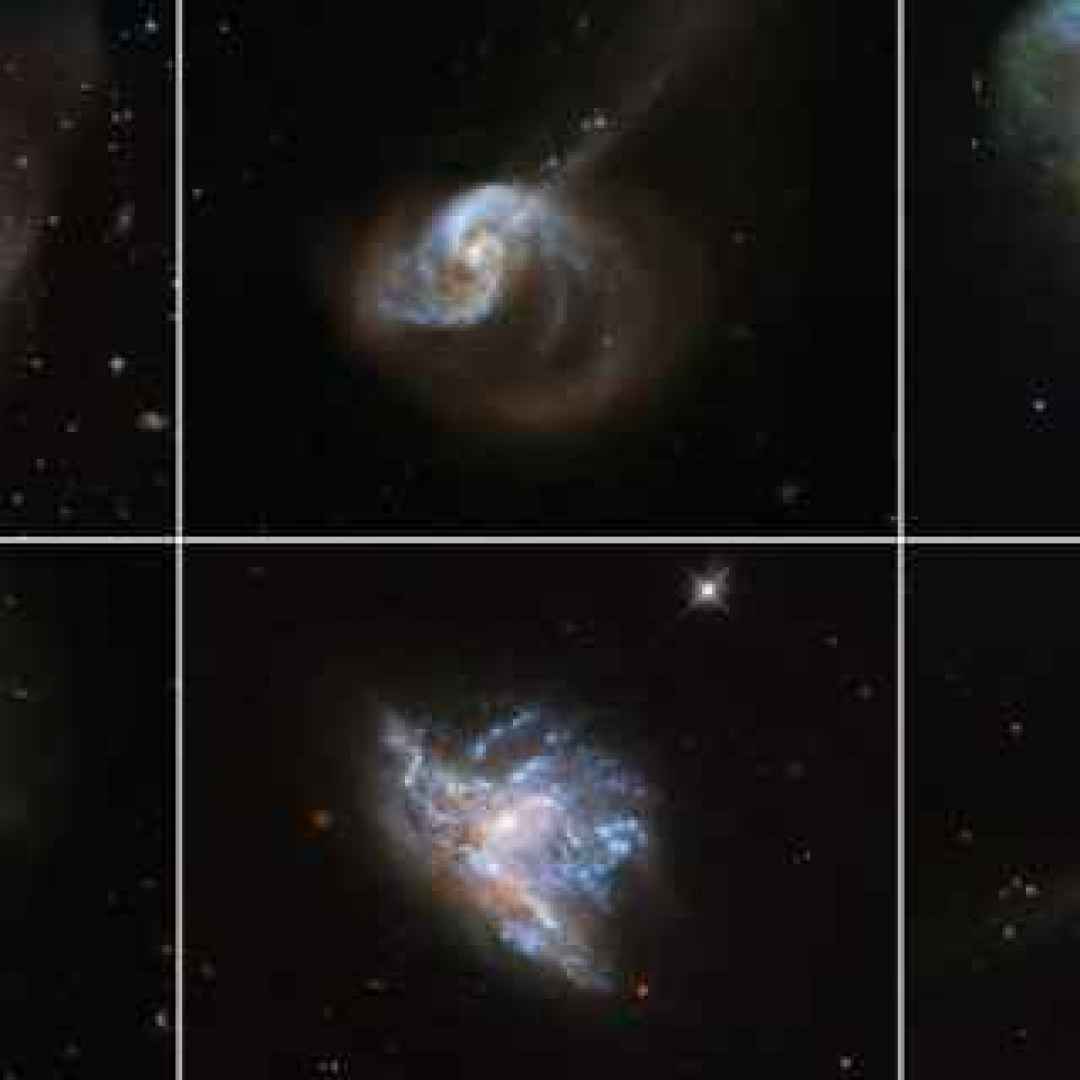 galassie  stelle  hubble
