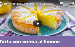 https://diggita.com/modules/auto_thumb/2021/01/11/1661411_torta-con-crema-al-limone-video-ricetta_thumb.png