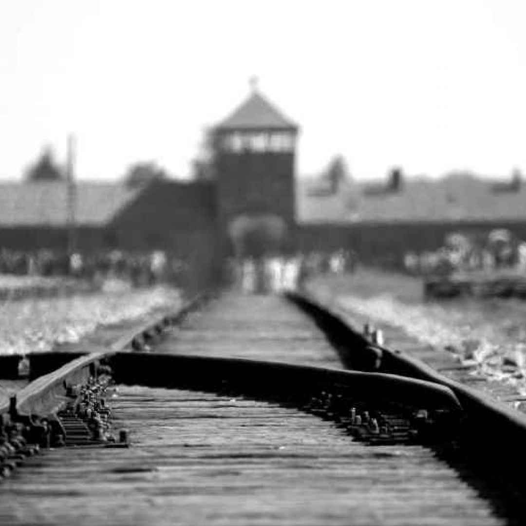 giornata della memoria  shoah olocausto