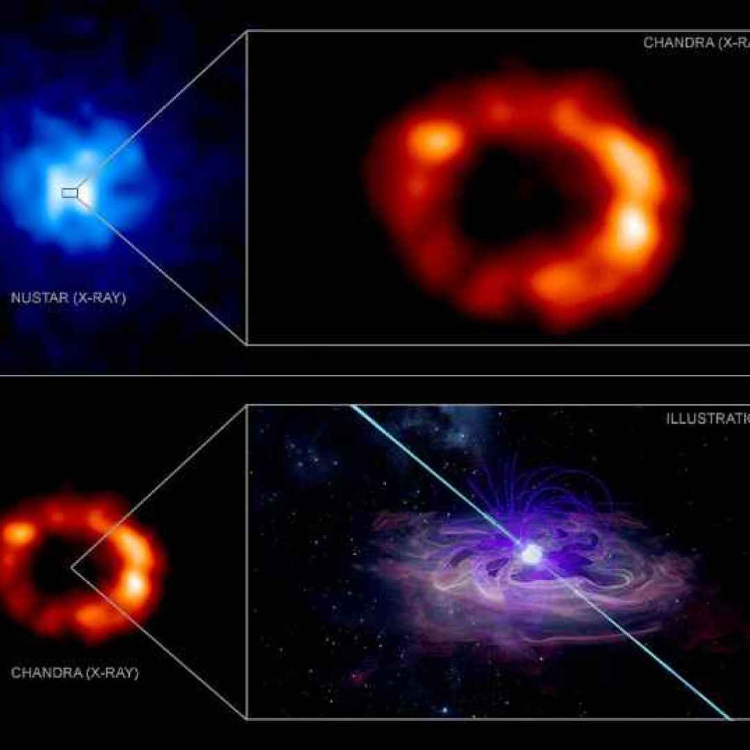 supernova  chandra  nustar