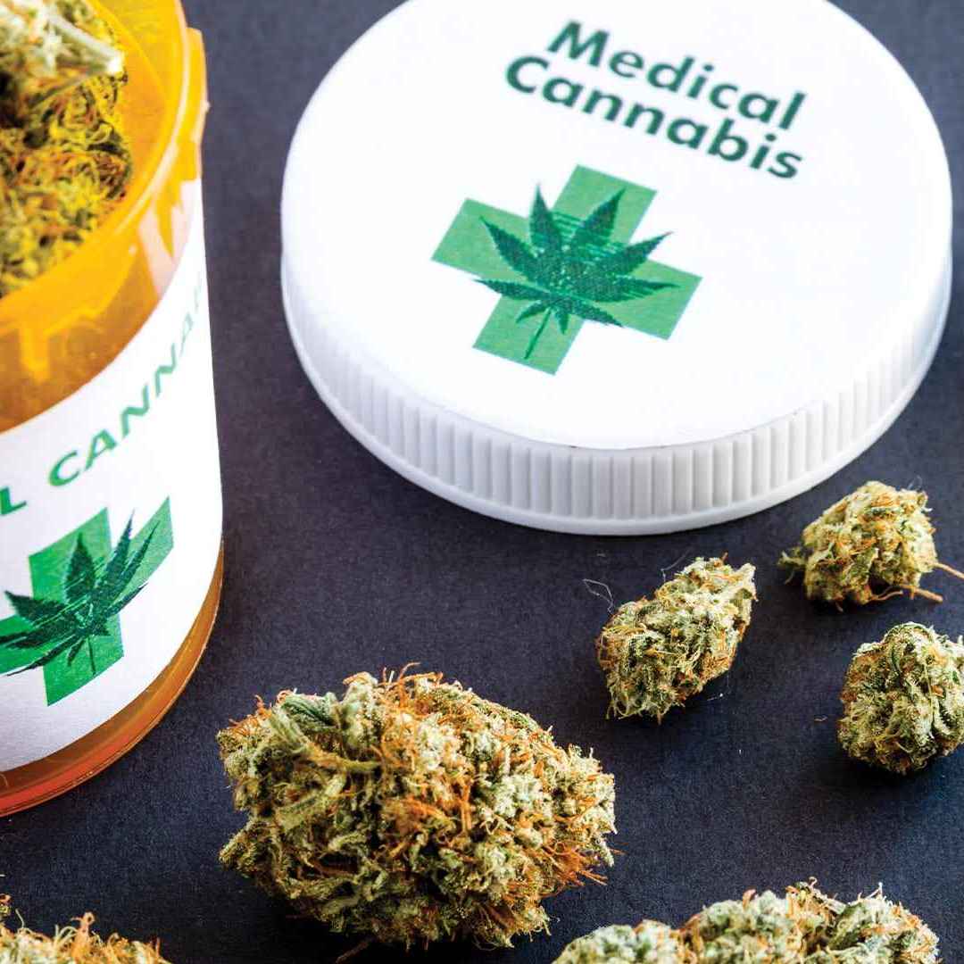 cannabis  cannabis terapeutica