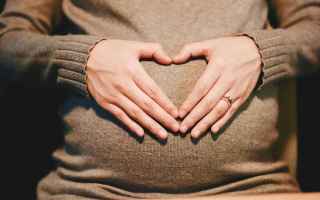 Sesso: maternità surrogata  utero in affitto