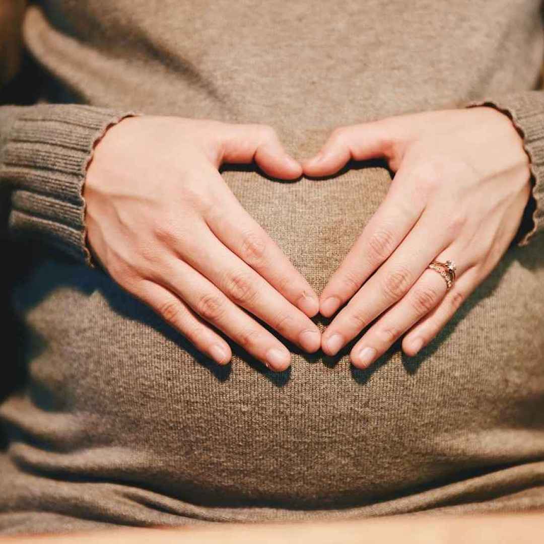 maternità surrogata  utero in affitto