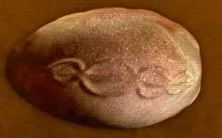 L'Uovo Cosmico di 7000 anni fa con incise le eliche del DNA