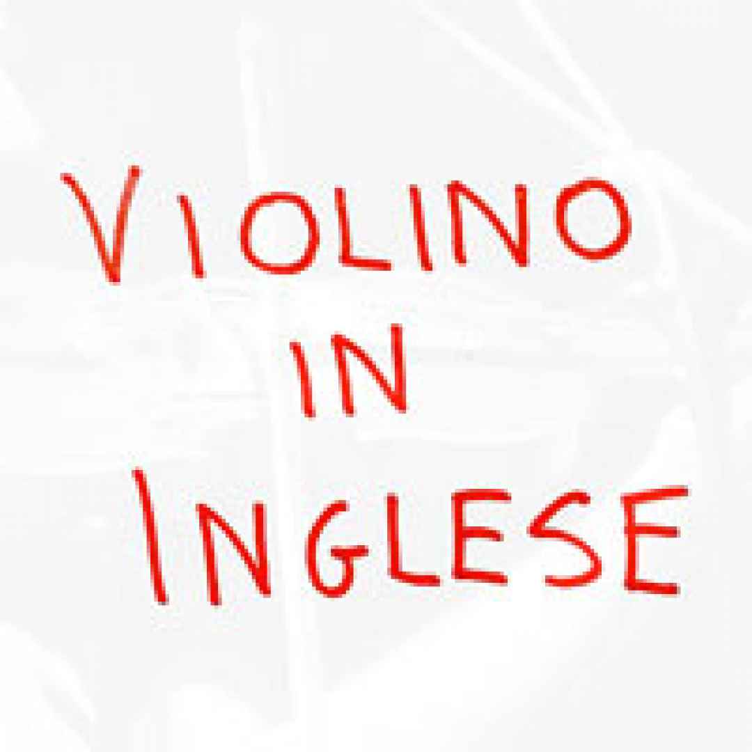 fiddle  violino in inglese  fiddler