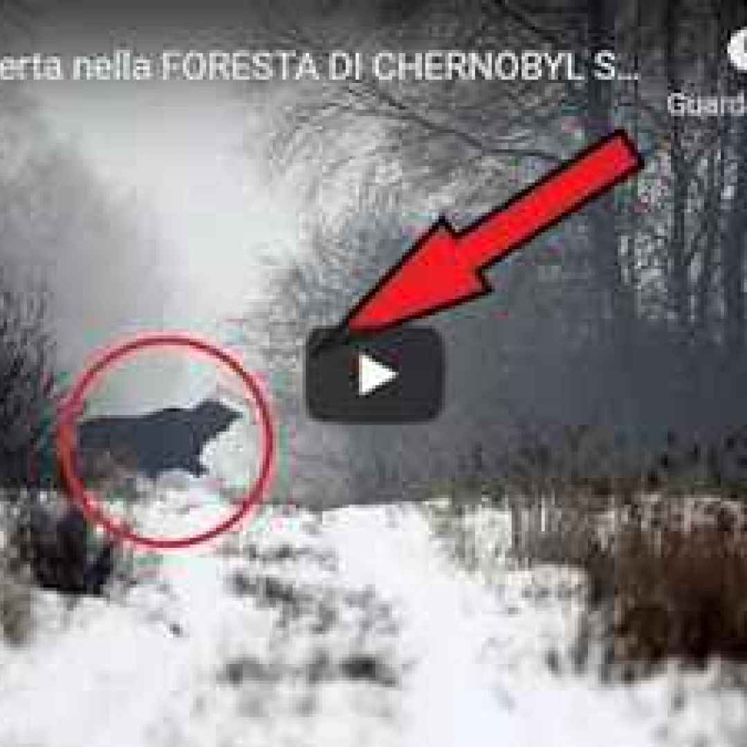 ucraina chernobyl video storia mondo