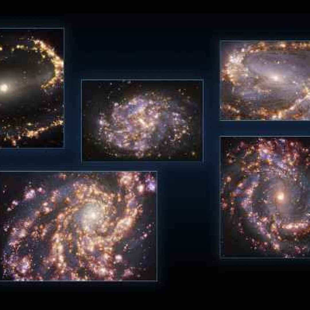 stelle  galassie