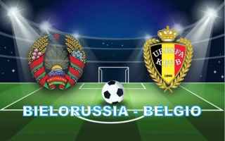 Calcio: belgio