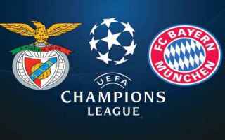 Champions League: benfica – bayern