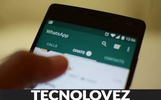 WhatsApp: whatsapp chat perse
