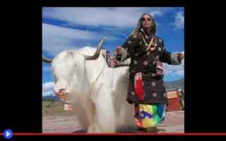 dal Mondo: #animali #danza #strano #nepal #tibet
