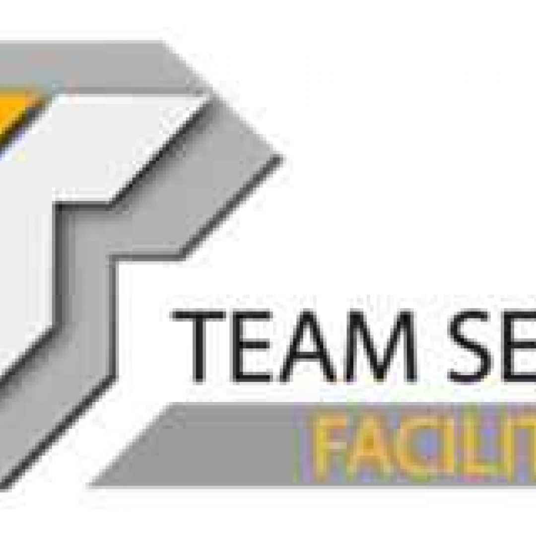 team service