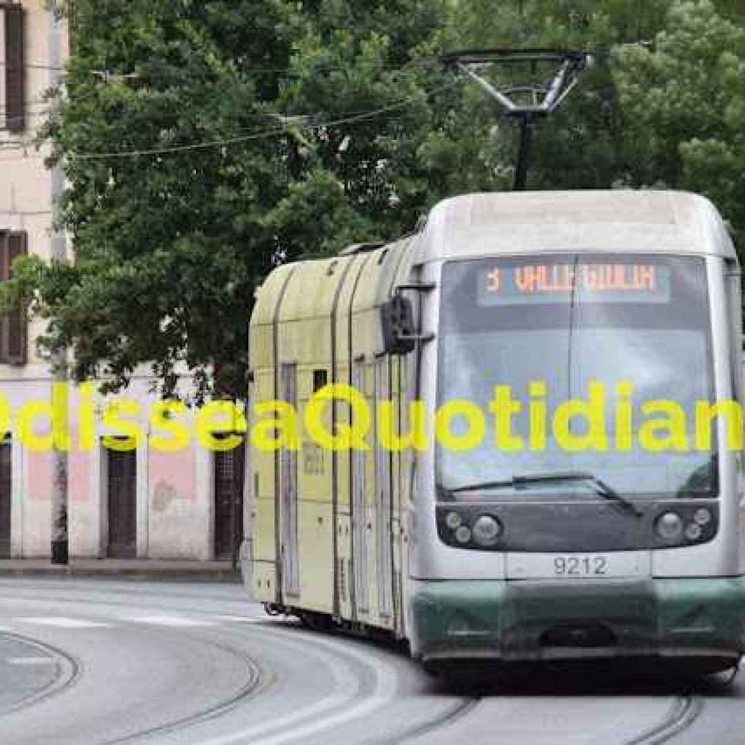 tram  roma  trasporto pubblico