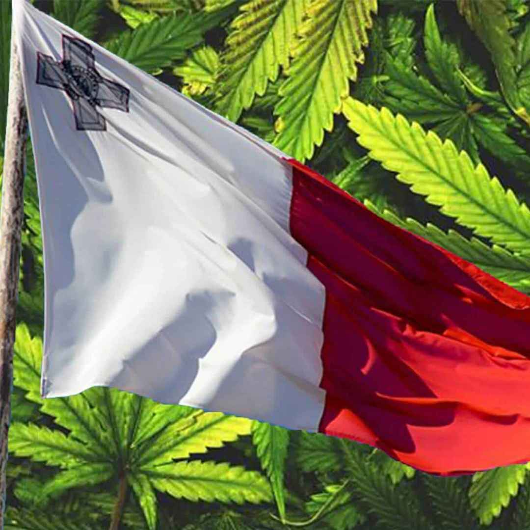 malta  cannabis  possesso legale