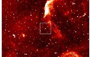 Astronomia: stella di neutroni  pulsar  askap
