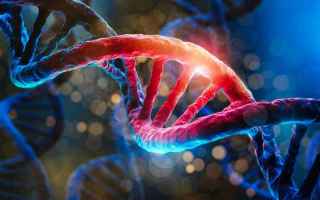 “Pertanto, gli mRNA esogeni (quelli dei vaccini COVID a mRNA, ndr) che entrano nel DNA umano posso