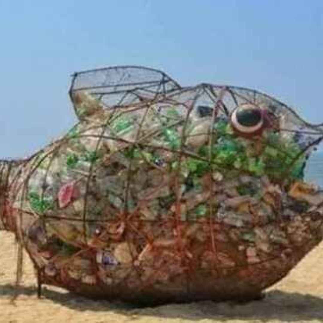salvamare plastica pescatori