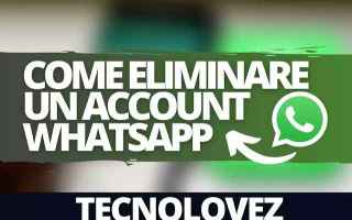 WhatsApp: whatsapp  account