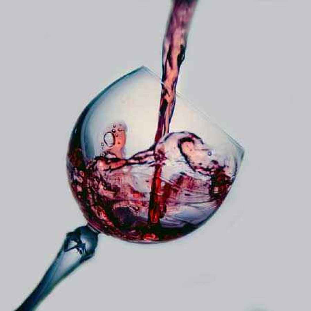 vino  sostenibilità