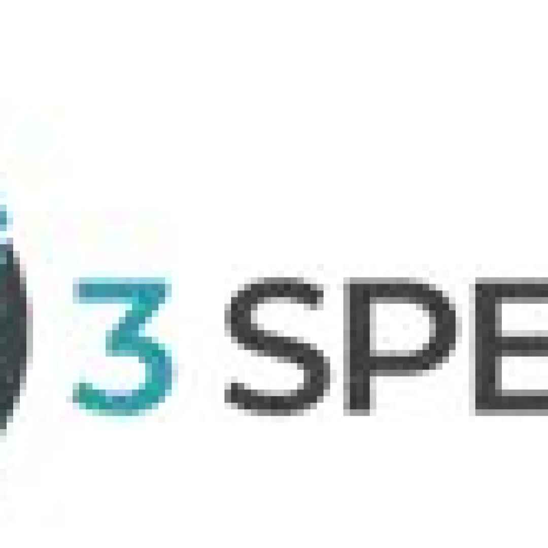 Website Speed and Performance Optimization Service