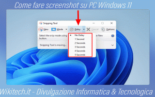 https://diggita.com/modules/auto_thumb/2022/08/09/1673788_Come-fare-screenshot-su-PC-Windows-11_thumb.gif