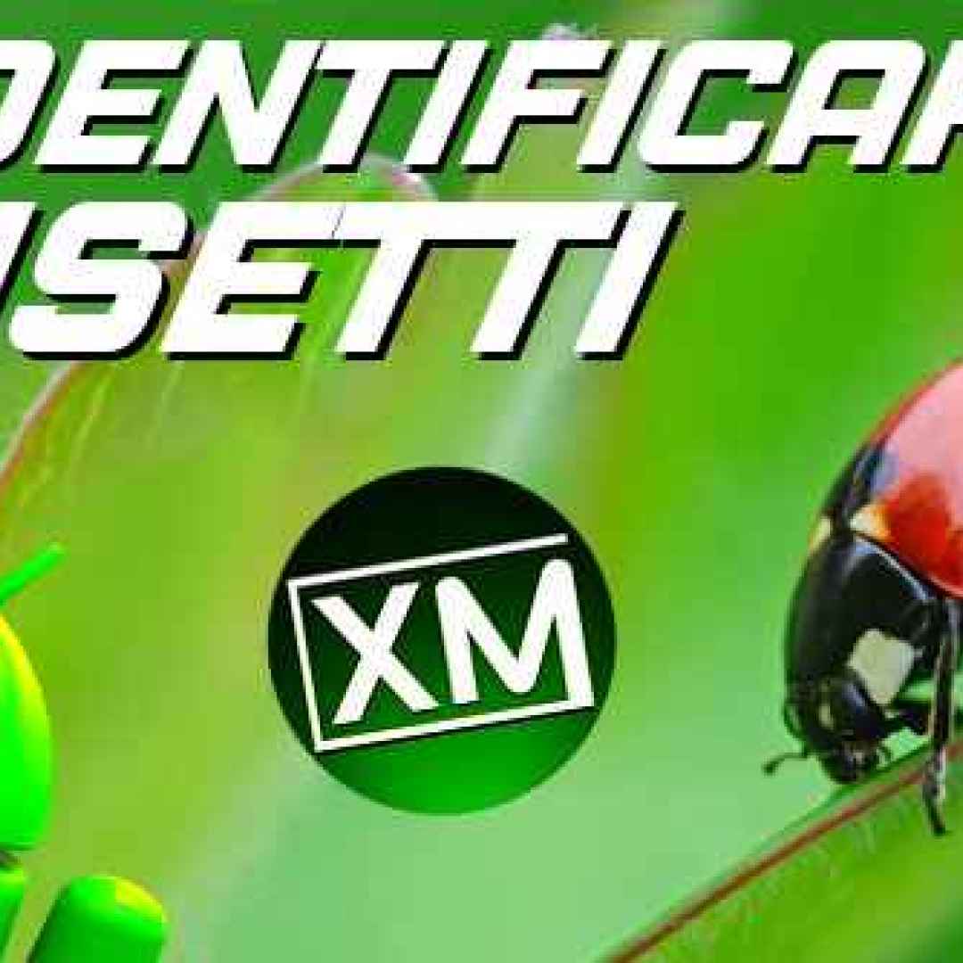 insetti  android  scienza  cultura