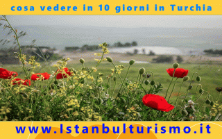Viaggi: Ecco la guida veloce su cosa vedere in 10 giorni in turchia
