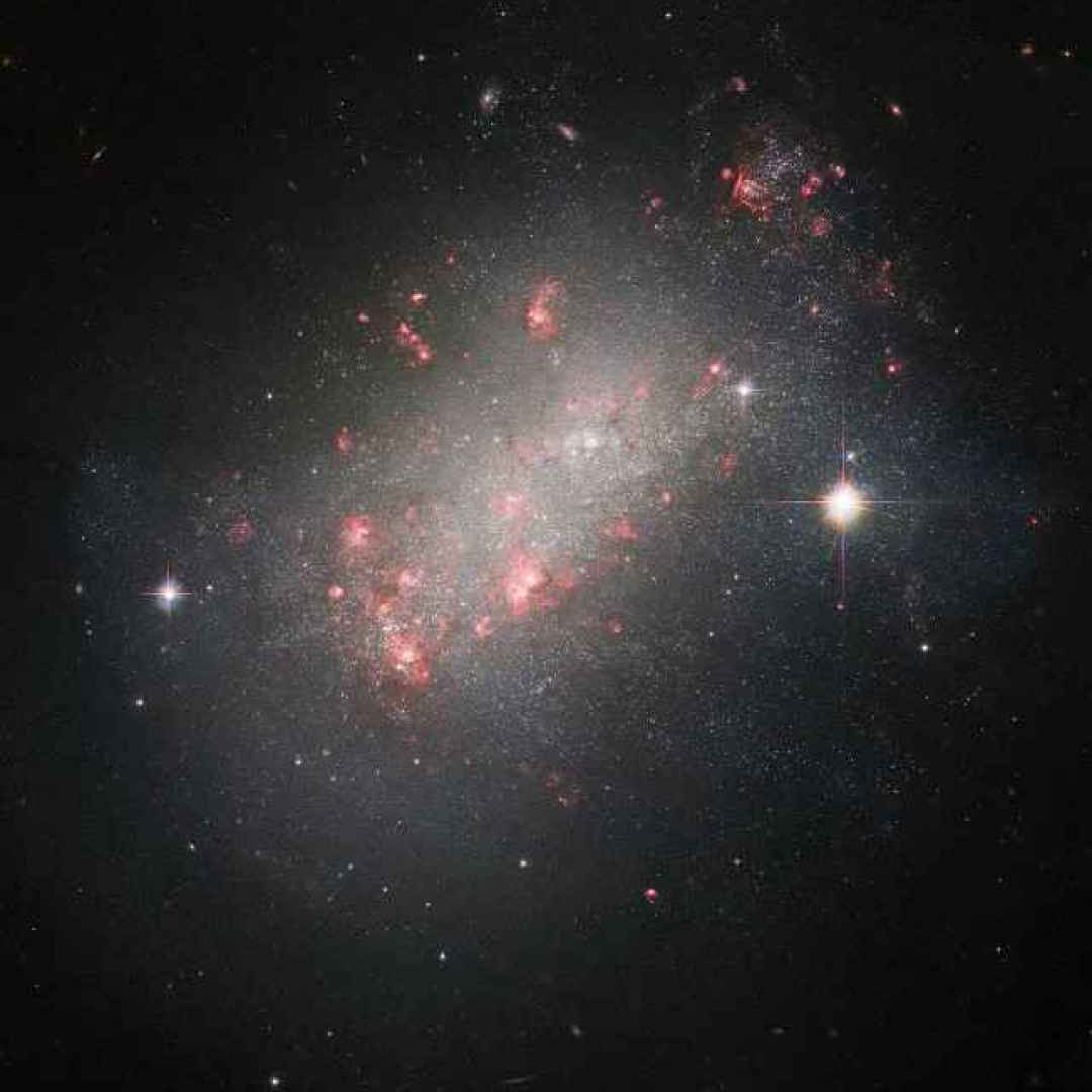 ngc 1156  galassia nana  hubble