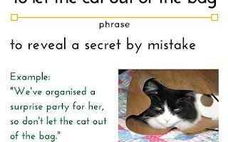 Come si dice in inglese - Svelare un segreto<br /><br />Svelare un segreto -> Let the cat out of t