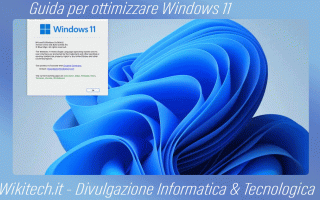 https://diggita.com/modules/auto_thumb/2022/09/23/1674932_Guida-per-ottimizzare-Windows-11_thumb.gif