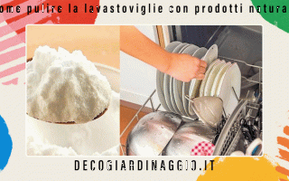 https://diggita.com/modules/auto_thumb/2022/09/26/1675056_Come-pulire-la-lavastoviglie-con-prodotti-naturali_thumb.gif