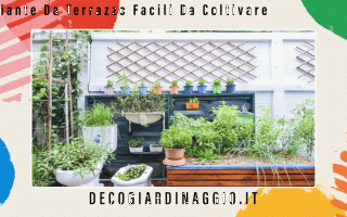 https://diggita.com/modules/auto_thumb/2022/09/28/1675145_Piante-Da-Terrazzo-Facili-Da-Coltivare_thumb.gif
