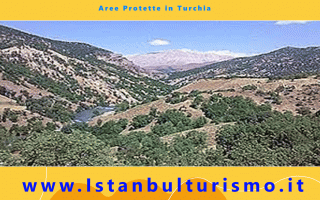 Vuoi conoscere un pò di aree protette in Turchia ? Ecco quali sono<br /><br />Vuoi conoscere un l