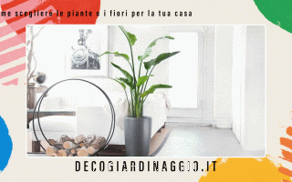 https://diggita.com/modules/auto_thumb/2022/11/03/1676365_Come-scegliere-le-piante-e-i-fiori-per-la-tua-casa_thumb.gif