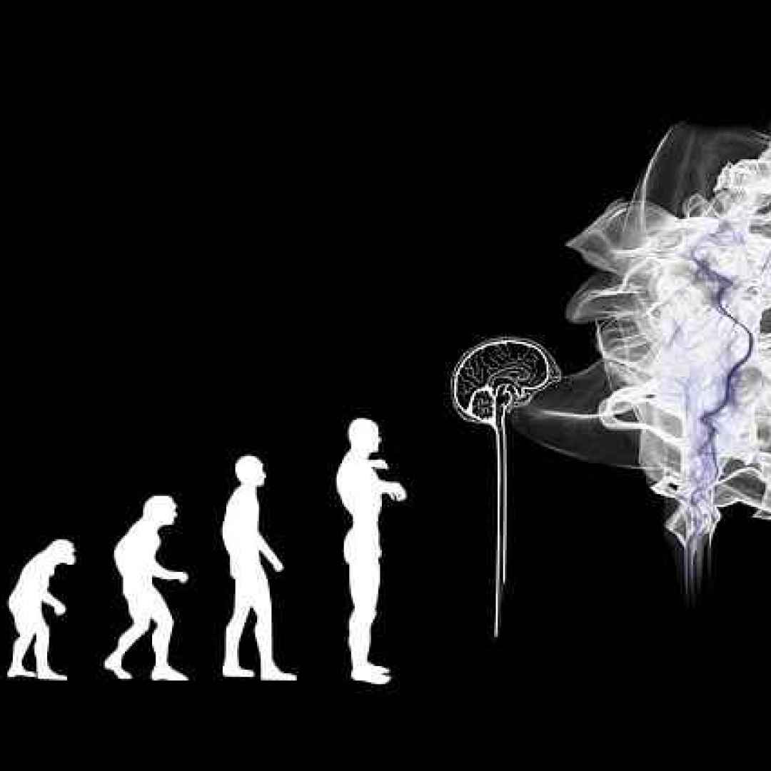 zichichi  evoluzionismo  fede  scienza