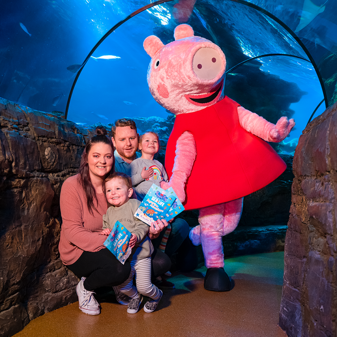 Peppa Pig Aquarium Adventure al Gardaland SEA LIFE Aquarium fino al 19 marzo