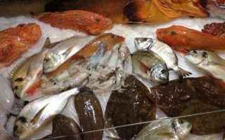 Alimentazione: pesce  parassita  anisakidosi