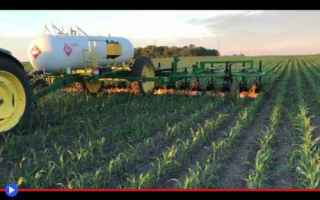 Tecnologie: agricoltura  tecnologia  tecniche