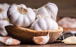 Medicina: aglio  batteri  virus  fenoli