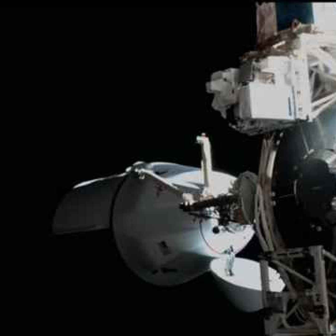 spacex  dragon  crs-27  cargo spaziale